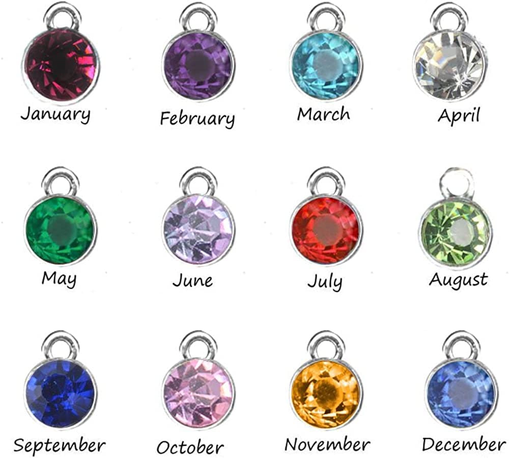 Stepdaughter Gift,Daughter in Law Gift,I Didn'T Give You the Gift of Life, Life Gave Me the Gift of You Necklace Birthstone Pendant