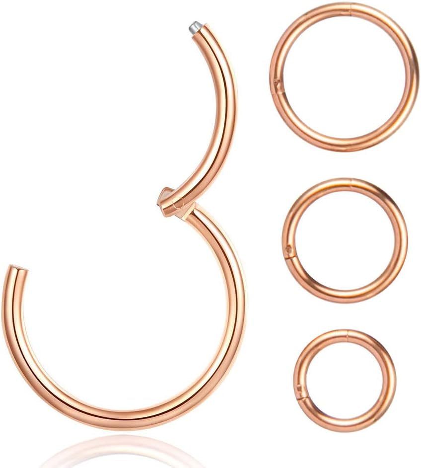 4Pcs 16G 18G 20G Surgical-Steel-Piercing-Ring-Nose-Rings-Hinged-Hoop-Earrings,6Mm 8Mm 10Mm 12Mm Seamless Stainless Steel Clicker Eyebrow Septum Piercing Hoop,Sliver Black Gold Rose Gold Rainbow Body Jewelry Set