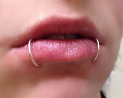 Briana Williams Fake Lip Piercing Fake Lip Ring Fake Nose Ring Fake Nose Piercing Faux Lip Rings Fake Snake Bite Piercing Clip on Non Piercing Double Cartilage Helix Earrings Ear Cuff for Women Men