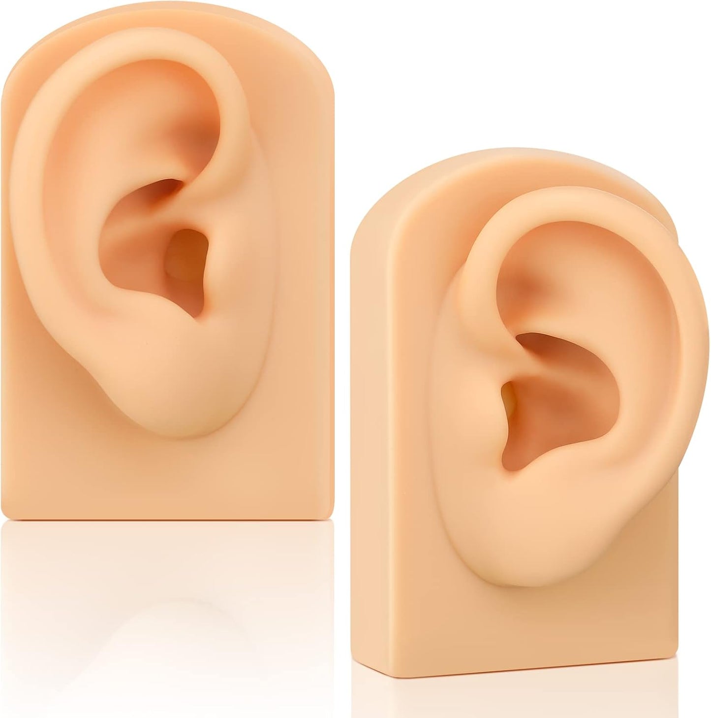 2 Pcs Silicone Ear Model Left and Right Soft Flexible Model Fake Ear Piercing Practice Silicone Body Parts Realistic for Jewelry Display Acupuncture Mannequin Teaching Instruction