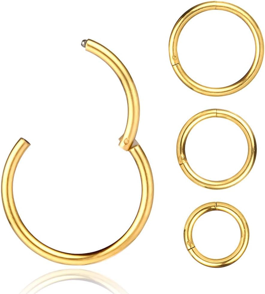 4Pcs 16G 18G 20G Surgical-Steel-Piercing-Ring-Nose-Rings-Hinged-Hoop-Earrings,6Mm 8Mm 10Mm 12Mm Seamless Stainless Steel Clicker Eyebrow Septum Piercing Hoop,Sliver Black Gold Rose Gold Rainbow Body Jewelry Set