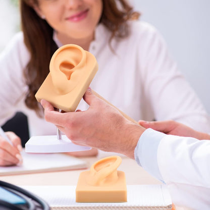 2 Pcs Silicone Ear Model Left and Right Soft Flexible Model Fake Ear Piercing Practice Silicone Body Parts Realistic for Jewelry Display Acupuncture Mannequin Teaching Instruction