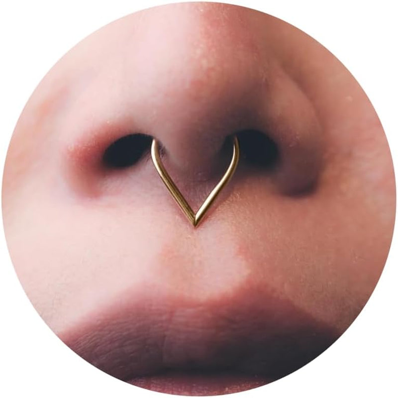 16G Titanium Septum Rings Double Septum Jewelry Daith Piercing Jewelry Silver Gold Hinged Segment Helix Clicker Piercing Jewelry 8 Mm 10 Mm Seamless Ring Hypoallergenic Jewellery for Her