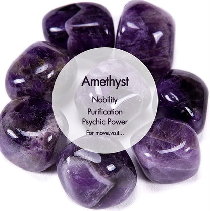 OUFER 3PCS Cartilage Earrings, 316L Surgical Steel Mixed Earrings with Dragon Claw Twist Helix Earring Ear Body Piercing Jewelry Tragus Earring