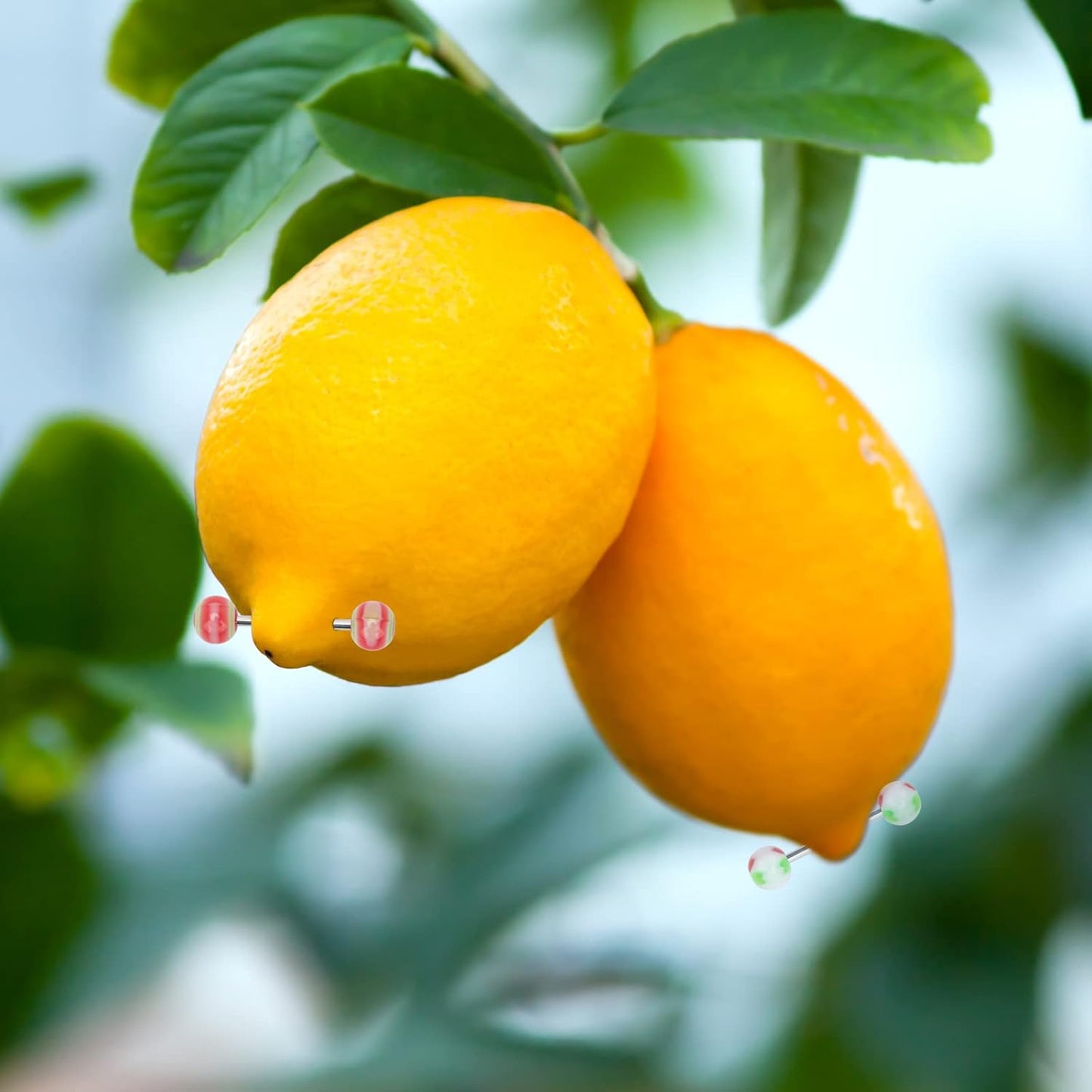 Crazypiercing Wholesale 14G Tongue Rings Barbells Assorted Colors 110 PCS Acrylic Ball