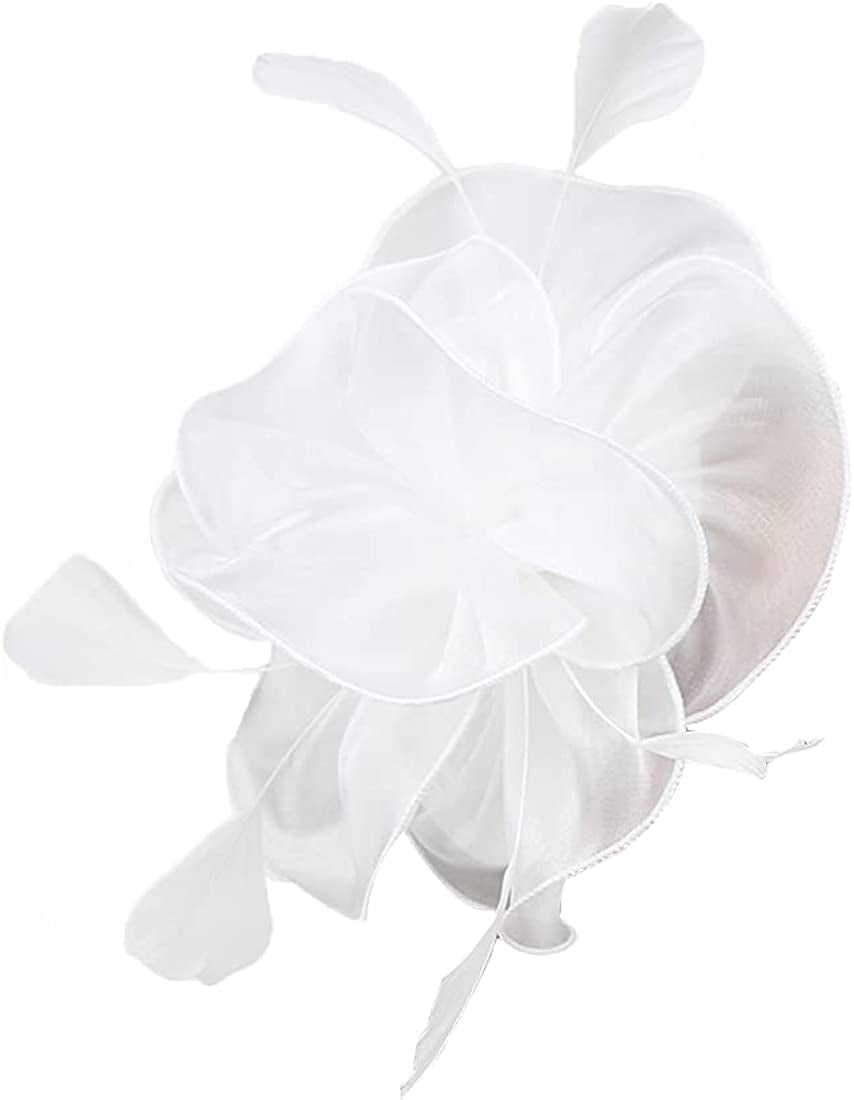 Women Flower Fascinator Hat Wedding Bridal Fascinators Tea Party Hat Feather Fascinator Headband Headwear for Evening Church Apparel & Accessories > Clothing Accessories > Headwear STbest White  