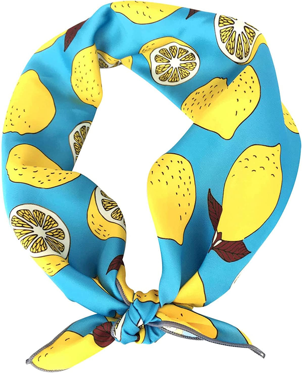 GERINLY Cute Bandana for Women Fruits Printed Square Hair Scarf Headband Summer Accessories Apparel & Accessories > Clothing Accessories > Bandanas & Headties GERINLY Light Blue  