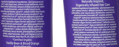 Loma Hair Care Violet Shampoo Violet Conditioner Duo, 12 Fl Oz , 2 Count (Pack of 1) Health & Beauty > Personal Care > Hair Care LOMA   