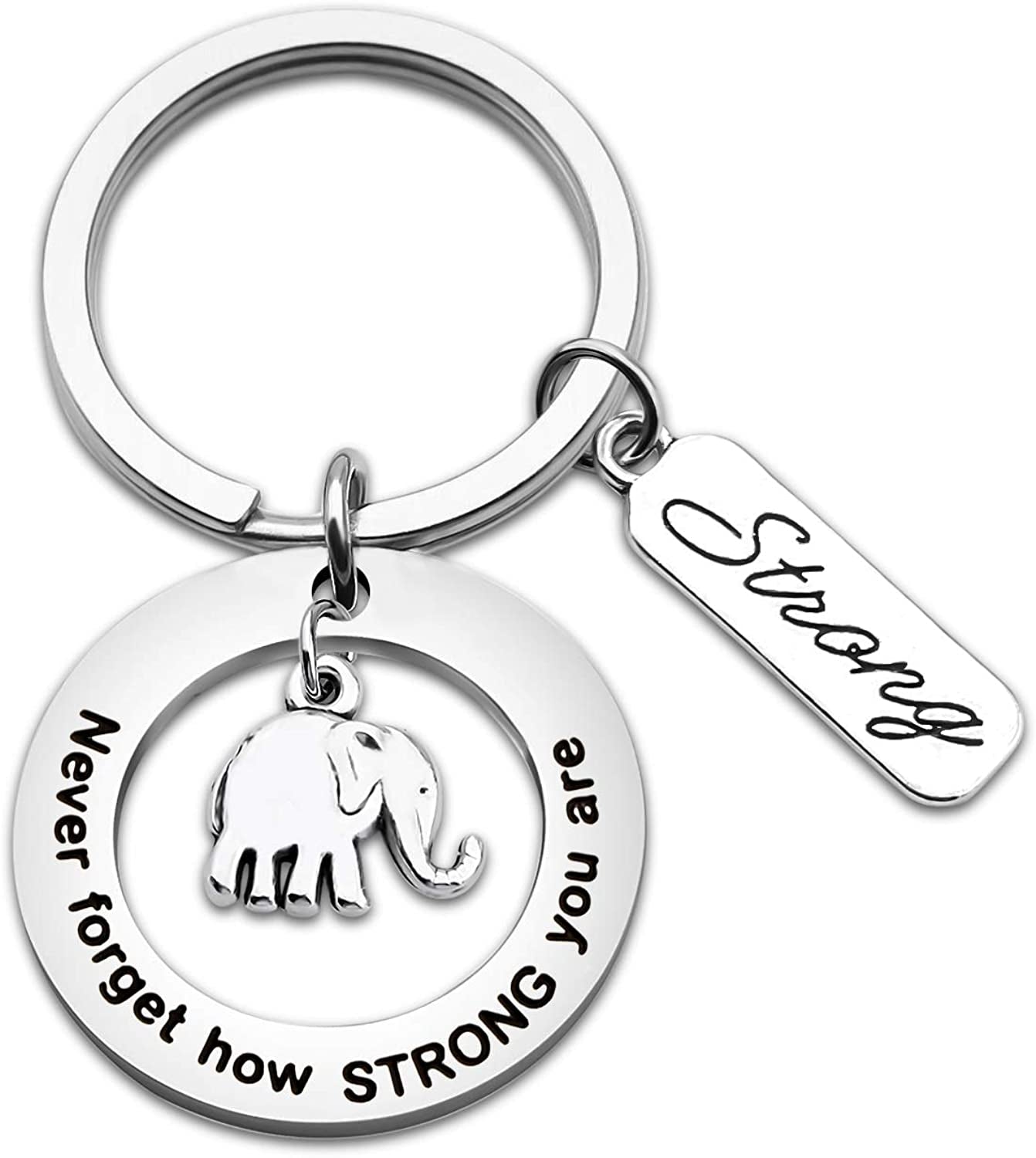 MYOSPARK Elephant Keychain Don'T Forget How Strong You Are Inspirational Gift for Graduate Elephant Lovers Apparel & Accessories > Jewelry > Necklaces MYOSPARK Elephant Keychain 7  
