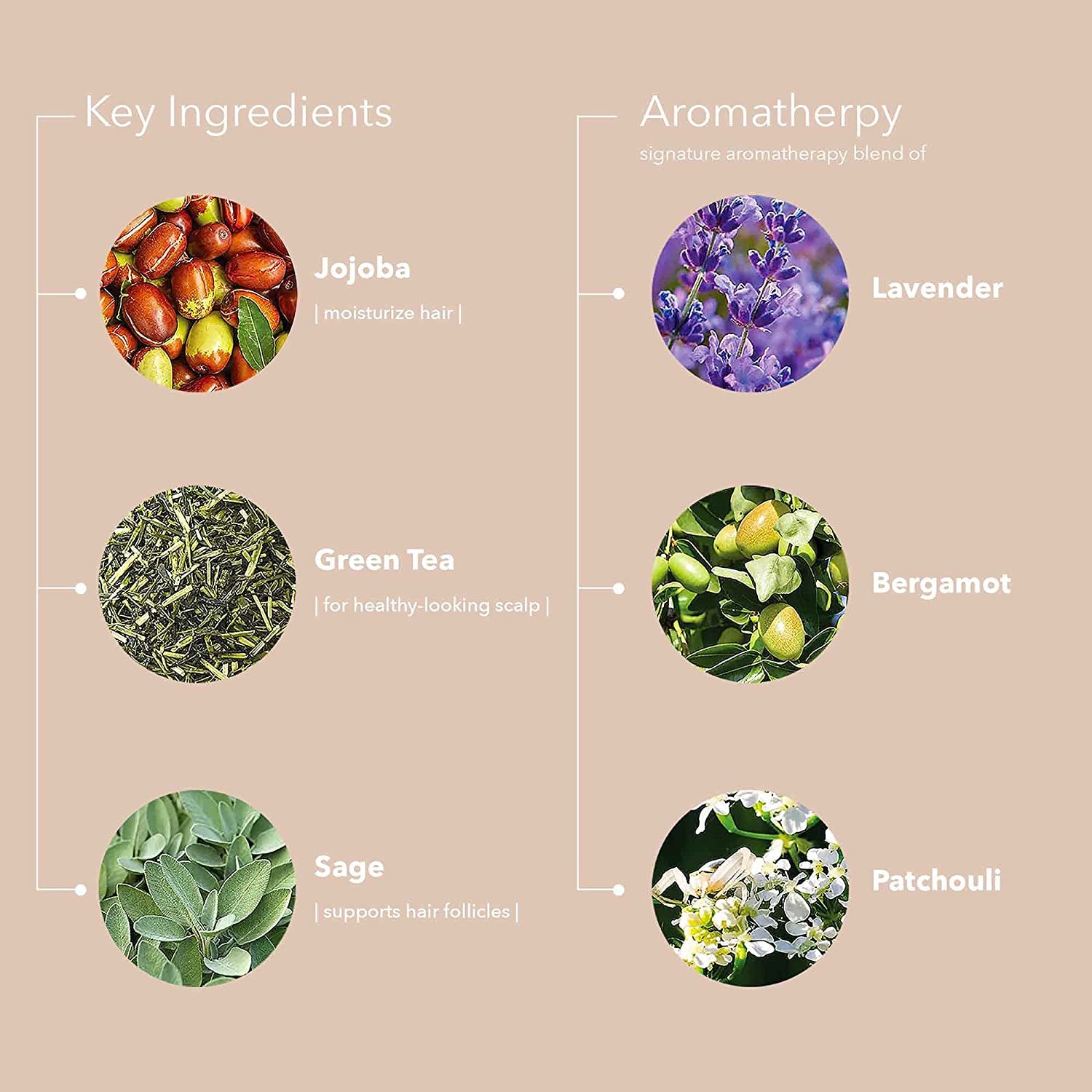Pureology Hydrate Sheer Nourishing Shampoo Health & Beauty > Personal Care > Hair Care Pureology   