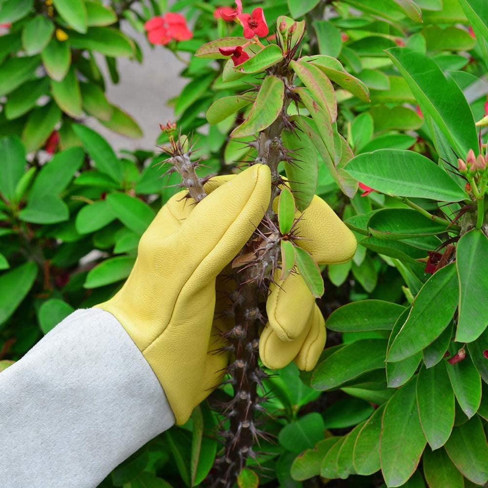 Supersfel Gardening Gloves for Women/Men, Rose Pruning Thorn-Proof Gloves, with Adjustable Cuff and Durable Goatskin Leather, Comfy Breathable Long Sleeve Work Garden Gauntlet Gloves for Yard Work(M) Apparel & Accessories > Clothing Accessories > Gloves & Mittens Supersfel   