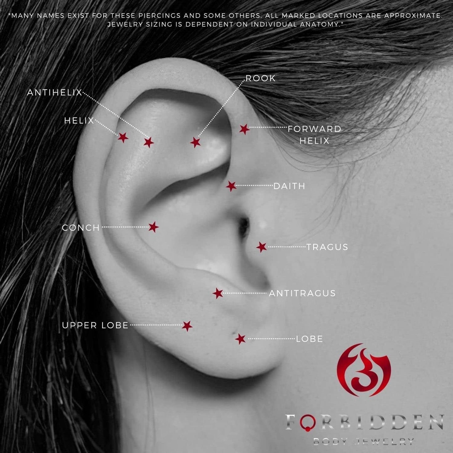 14G-16G Internally Threaded Titanium Straight Barbell Body Piercing Jewelry (Sold Individually) Apparel & Accessories > Jewelry > Body Jewelry Forbidden Body Jewelry   