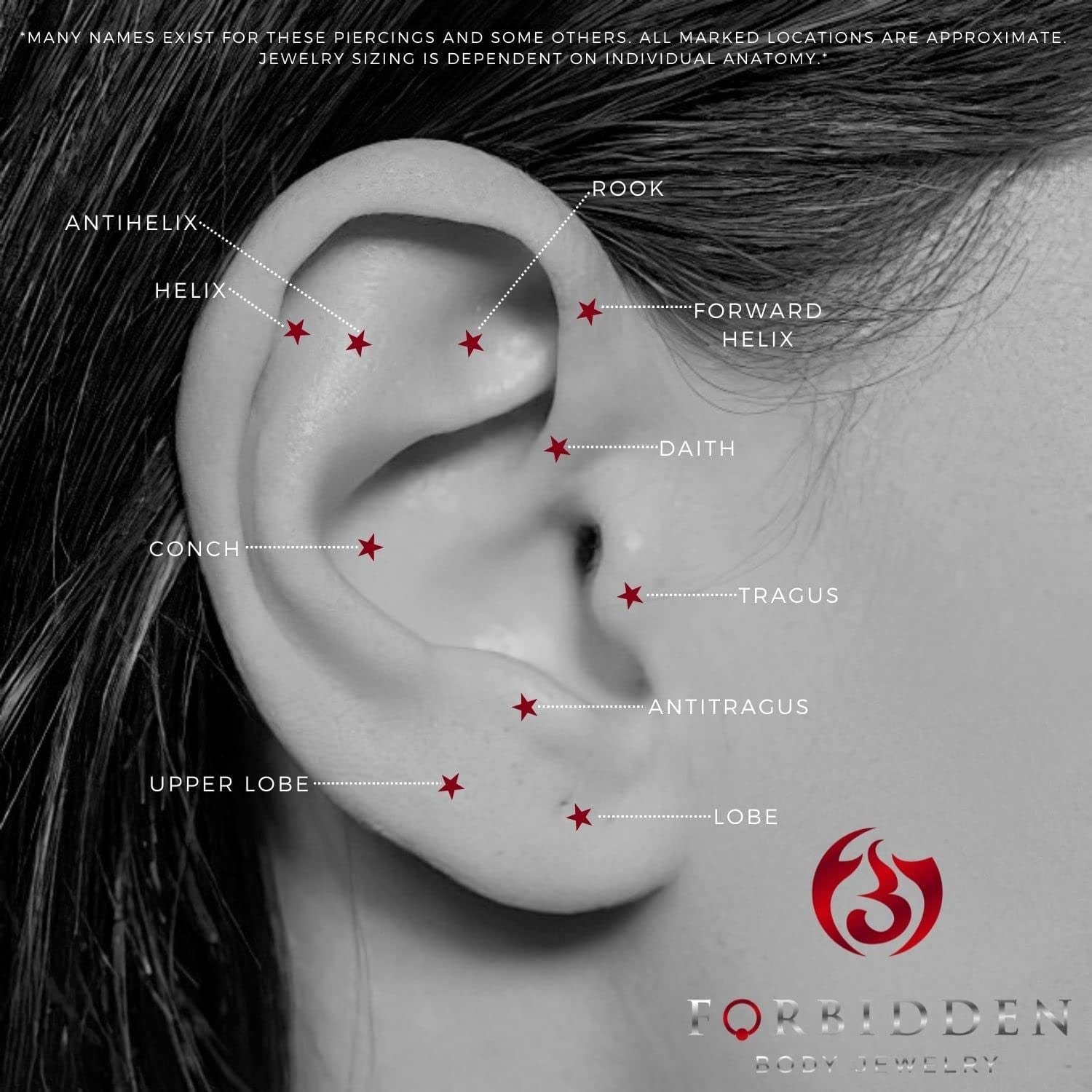 14G-16G Internally Threaded Titanium Straight Barbell Body Piercing Jewelry (Sold Individually) Apparel & Accessories > Jewelry > Body Jewelry Forbidden Body Jewelry   