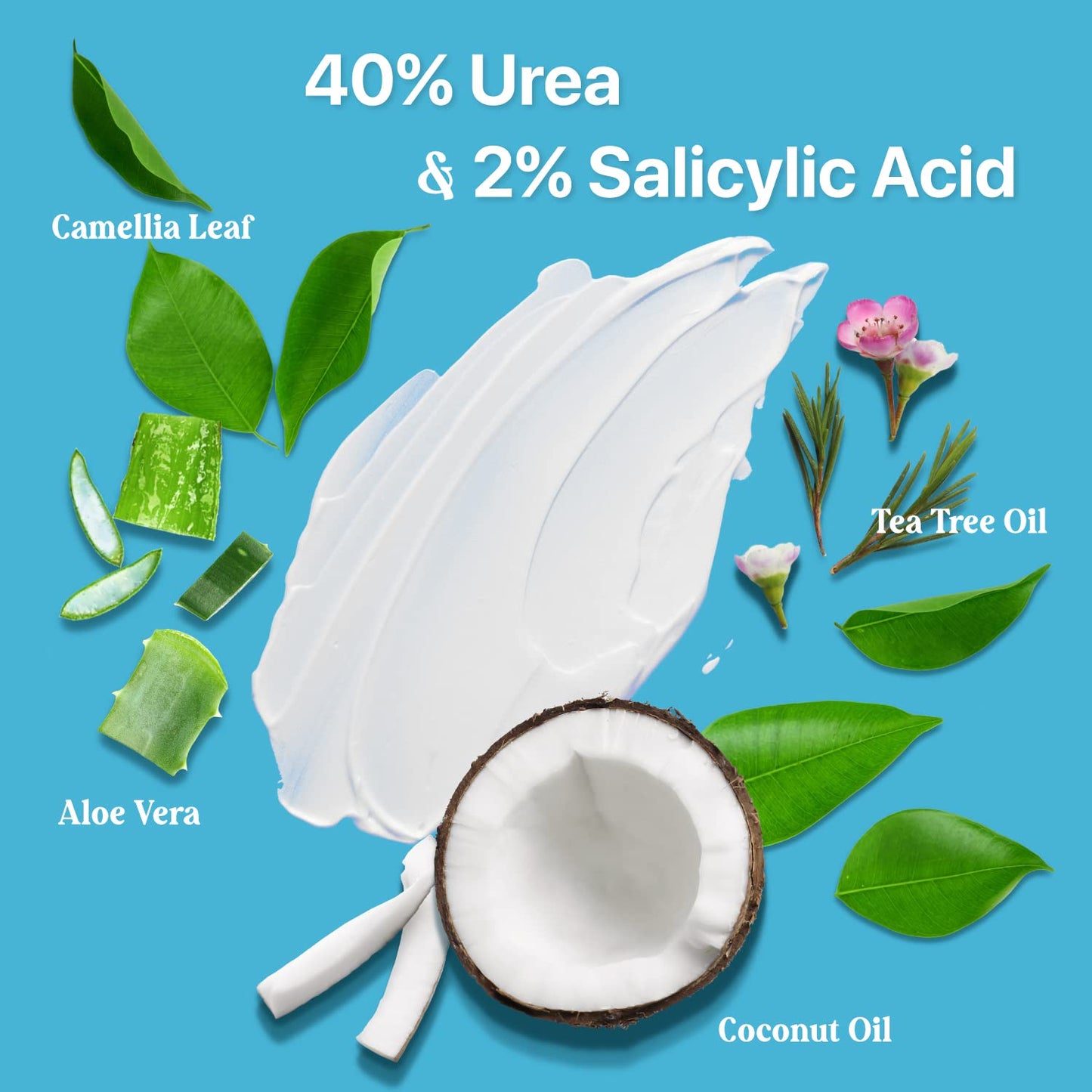 Urea Cream 40% plus Salicylic Acid 4.6 Oz, Callus Remover Hand Cream Foot Cream for Dry Cracked Feet, Hands, Heels, Elbows, Nails, Knees, Intensive Moisturizes & Softens Skin, Exfoliates Dead Skin Health & Beauty > Personal Care > Foot Care Ebanel Laboratories, Inc.   