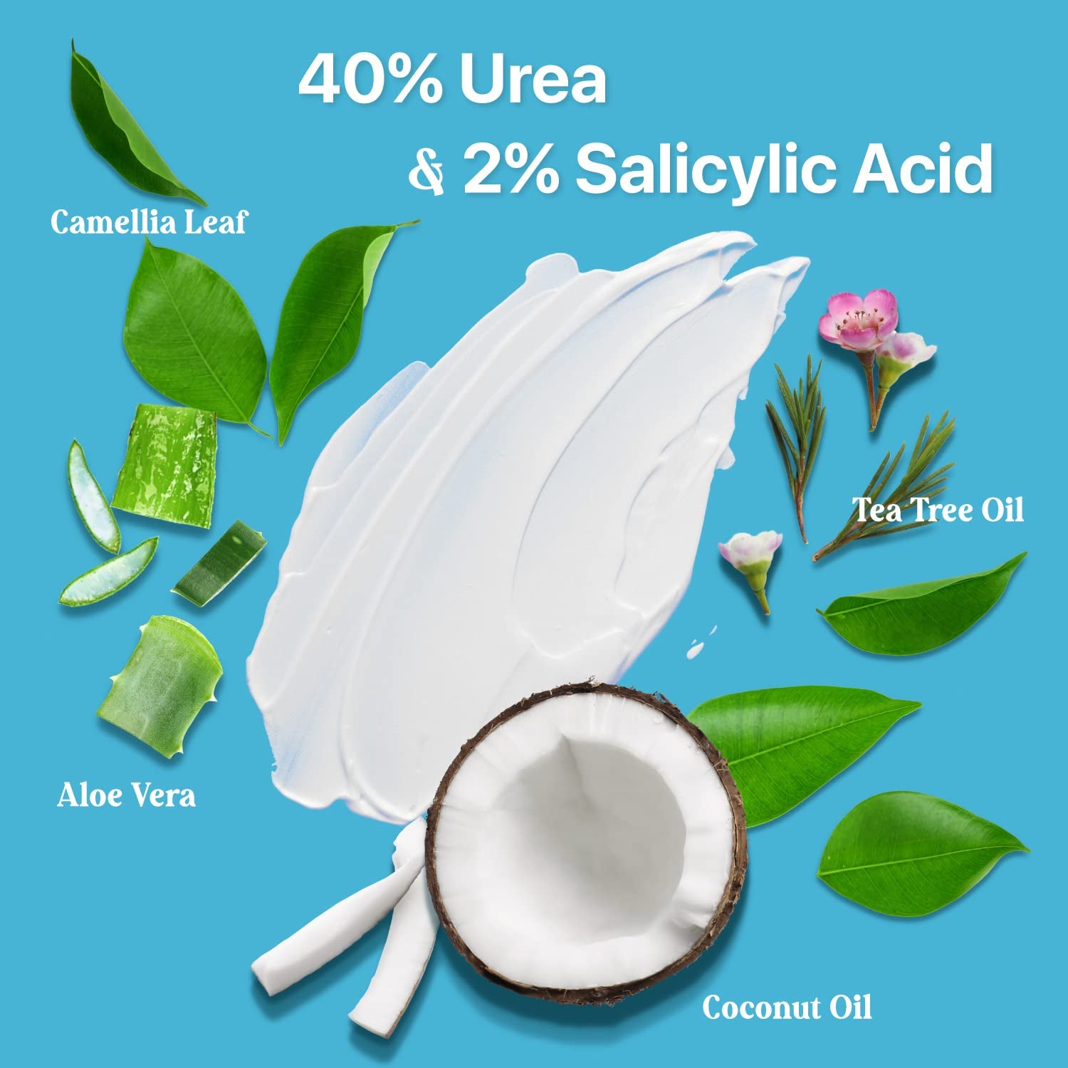 Urea Cream 40% plus Salicylic Acid 4.6 Oz, Callus Remover Hand Cream Foot Cream for Dry Cracked Feet, Hands, Heels, Elbows, Nails, Knees, Intensive Moisturizes & Softens Skin, Exfoliates Dead Skin Health & Beauty > Personal Care > Foot Care Ebanel Laboratories, Inc.   