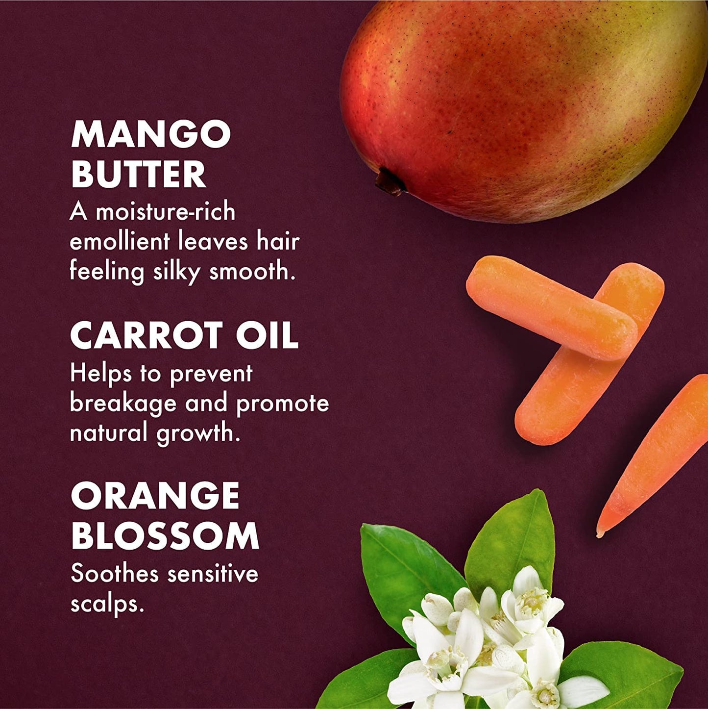 Shea Moisture Kids Hair Care Combination Pack – Includes Mango & Carrot 8Oz KIDS Extra-Nourishing Shampoo, 8Oz KIDS Extra-Nourishing Conditioner, and 8Oz Coconut & Hibiscus KIDS Detangler Health & Beauty > Personal Care > Hair Care SheaMoisture   