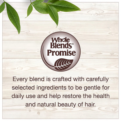 Garnier Hair Care Whole Blends Oat Delicacy, Moisturizing Shampoo, Conditioner, and Detangler with Oat Milk and Rice Cream Extracts, for Fine Hair and Sensitive Scalps, Paraben Free, 1 Kit Health & Beauty > Personal Care > Hair Care Garnier   
