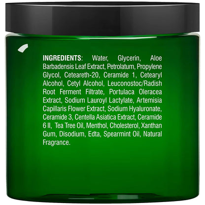 MAJESTIC PURE Athletes Foot Cream with Tea Tree Oil, Aloe & Spearmint - Hydrates, Softens & Conditions Dry Cracked Feet, Heel and Calluses,- Helps Soothe Irritated Skin - 8 Oz Health & Beauty > Personal Care > Foot Care MAJESTIC PURE   