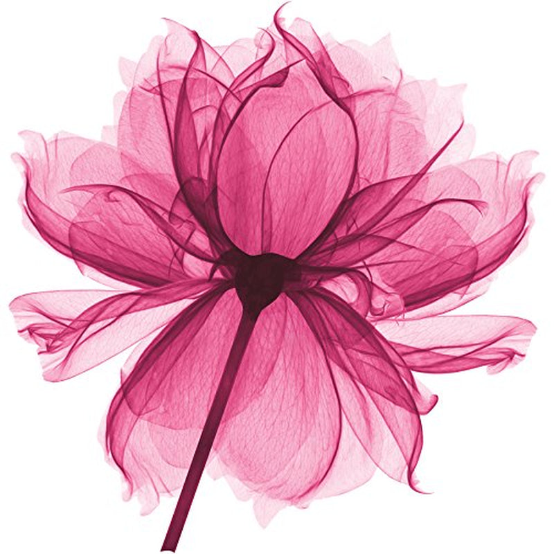 L'Oréal Paris Hair Care Everpure Intense Repair Hair Sheet Mask Health & Beauty > Personal Care > Hair Care L'Oreal Paris   