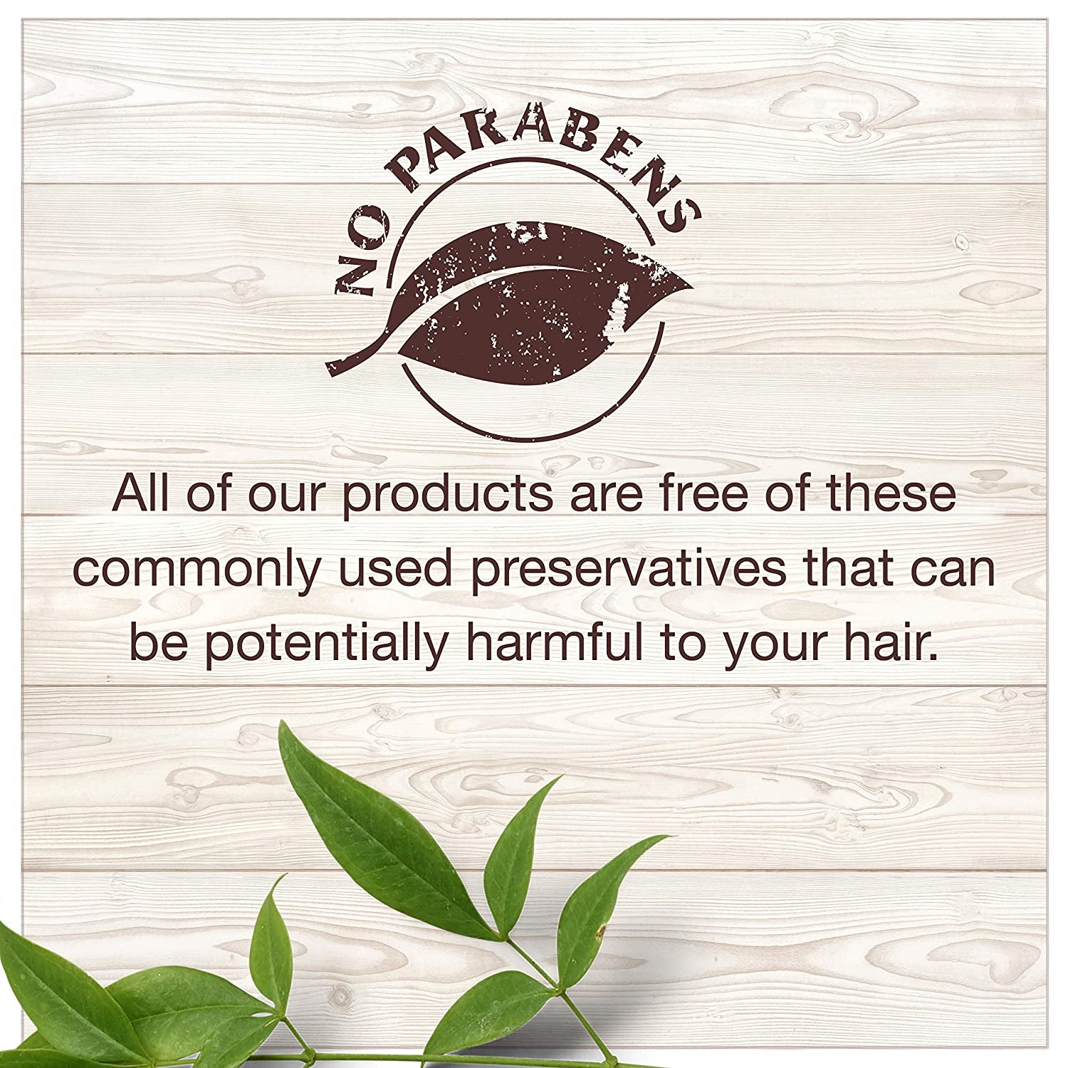 Garnier Hair Care Whole Blends Oat Delicacy, Moisturizing Shampoo, Conditioner, and Detangler with Oat Milk and Rice Cream Extracts, for Fine Hair and Sensitive Scalps, Paraben Free, 1 Kit Health & Beauty > Personal Care > Hair Care Garnier   