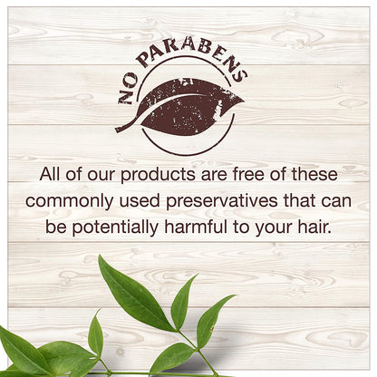 Garnier Hair Care Whole Blends Oat Delicacy, Moisturizing Shampoo, Conditioner, and Detangler with Oat Milk and Rice Cream Extracts, for Fine Hair and Sensitive Scalps, Paraben Free, 1 Kit Health & Beauty > Personal Care > Hair Care Garnier   