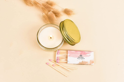Sending You Sunshine Succulent Gift Box - Live Succulent Gift - Friendship Gift - Thinking of You Gift - Send a Gift - Care Package (XBM2) Arts & Entertainment > Party & Celebration > Gift Giving Natural Succulents   