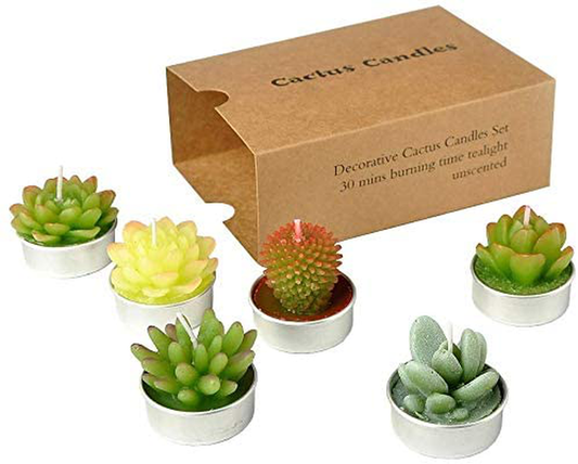SanSeng Cactus Tealight Candles, Handmade Delicate Succulent Cactus Candles（ Perfect for Birthday Party ,Wedding, Spa, Home Decor( 6 Pcs in Pack) Arts & Entertainment > Party & Celebration > Gift Giving SanSeng   