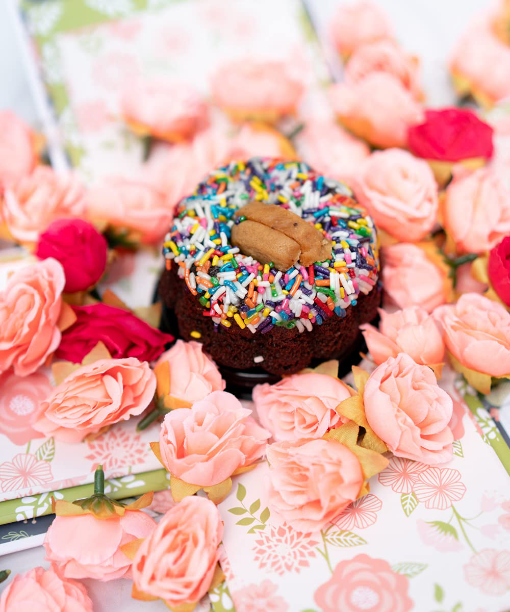Send a Cake Explosion Box Gift with Flying Butterfly Surprise- Birthday, Holiday, Special Occasion – Birthday Treat for Women, Men, Adults, Kids Arts & Entertainment > Party & Celebration > Gift Giving Send A Cake   