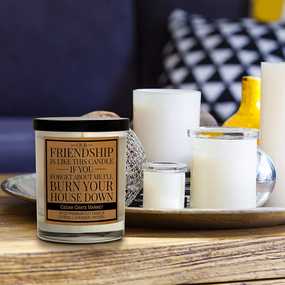 Our Friendship is Like This Candle, Best Friends Gift, Friendship Candle Gifts for Women, Funny Candles, Birthday Gifts for Friends Female, Funny Bestie Gifts for BFF, Coworker, Lavender Scented Arts & Entertainment > Party & Celebration > Gift Giving Cedar Crate Market   
