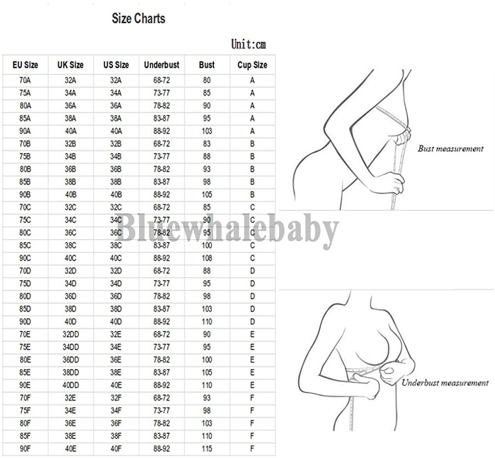 Women Push up Embroidery Bras Set Lace Lingerie Bra and Panty & Garter Belt Suspender & Thigh High Stocking Socks 4 Piece/Set Apparel & Accessories > Clothing > Underwear & Socks > Lingerie Bluewhalebaby   