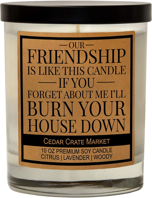 Our Friendship is Like This Candle, Best Friends Gift, Friendship Candle Gifts for Women, Funny Candles, Birthday Gifts for Friends Female, Funny Bestie Gifts for BFF, Coworker, Lavender Scented Arts & Entertainment > Party & Celebration > Gift Giving Cedar Crate Market   
