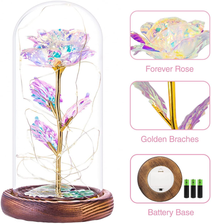 Tongtai Galaxy Rose Flower Gift-Galaxy Enchanted Rose with Led Light String in Glass Dome -Gifts for Women Mom Her Birthday Wedding Anniversary Room Home Bedroom Decor Arts & Entertainment > Party & Celebration > Gift Giving Tongtai   