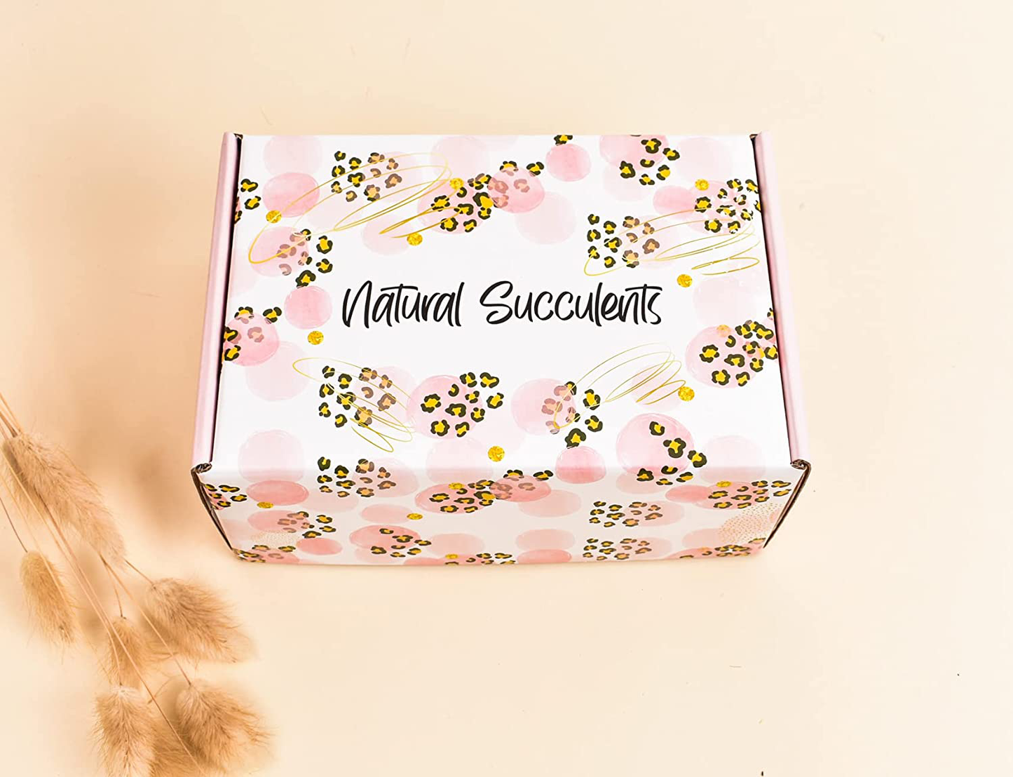 Sending You Sunshine Succulent Gift Box - Live Succulent Gift - Friendship Gift - Thinking of You Gift - Send a Gift - Care Package (XBM2) Arts & Entertainment > Party & Celebration > Gift Giving Natural Succulents   