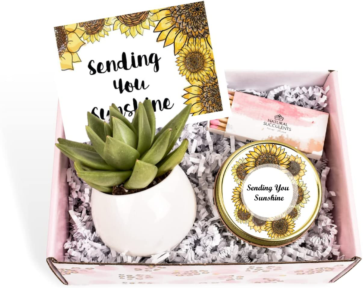 Sending You Sunshine Succulent Gift Box - Live Succulent Gift - Friendship Gift - Thinking of You Gift - Send a Gift - Care Package (XBM2) Arts & Entertainment > Party & Celebration > Gift Giving Natural Succulents   