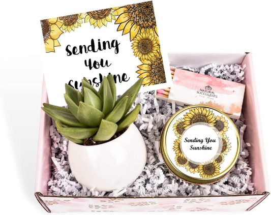 Sending You Sunshine Succulent Gift Box - Live Succulent Gift - Friendship Gift - Thinking of You Gift - Send a Gift - Care Package (XBM2) Arts & Entertainment > Party & Celebration > Gift Giving Natural Succulents   
