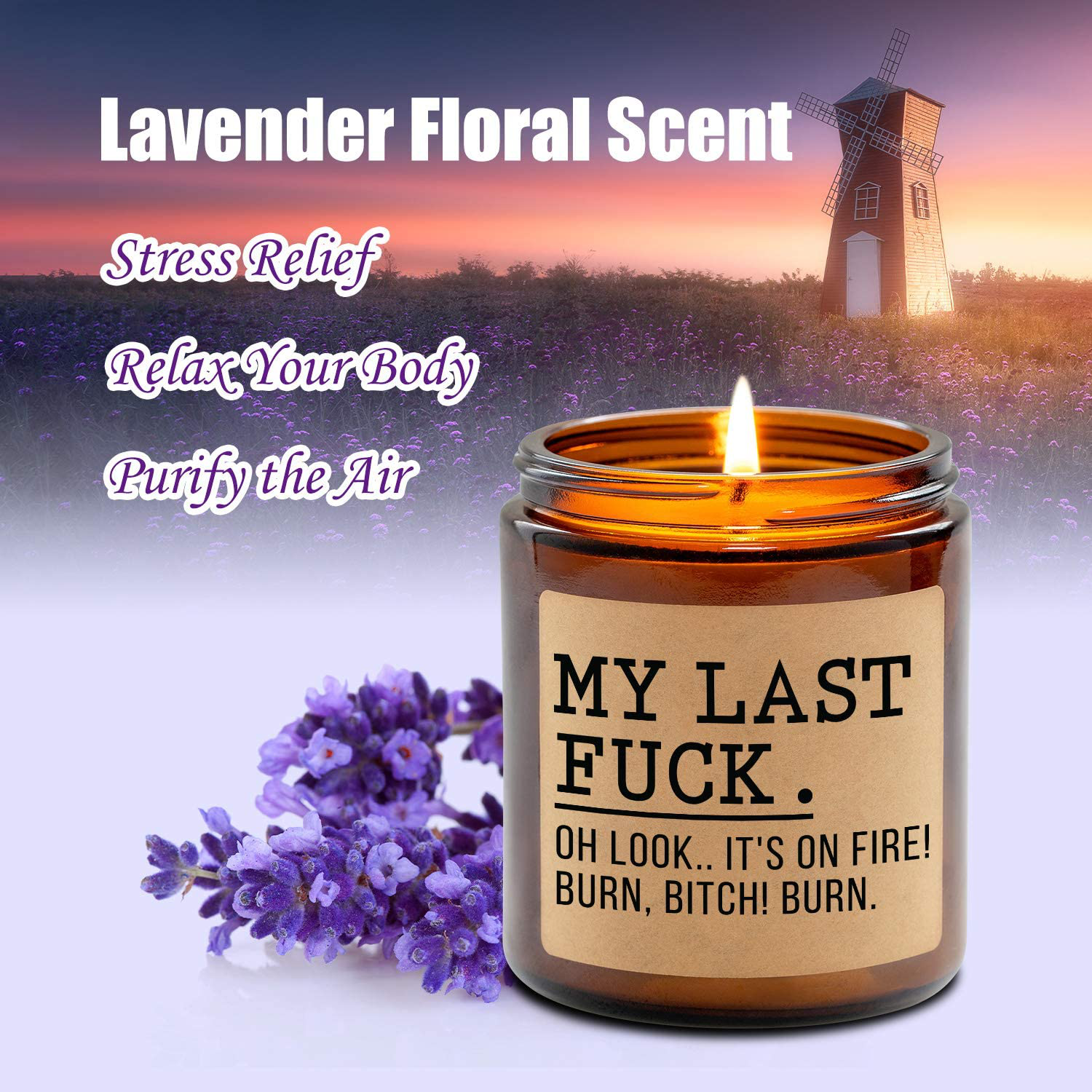 Fairy's Gift Lavender Scented Candles - Gifts for Her, Him - Funny Gifts for Women, Gifts for Men - Best Friend, Friend Gifts, BFF Gifts, Coworker Gifts - Friendship, Christmas, Fun Birthday Gifts Arts & Entertainment > Party & Celebration > Gift Giving Fairy's Gift   