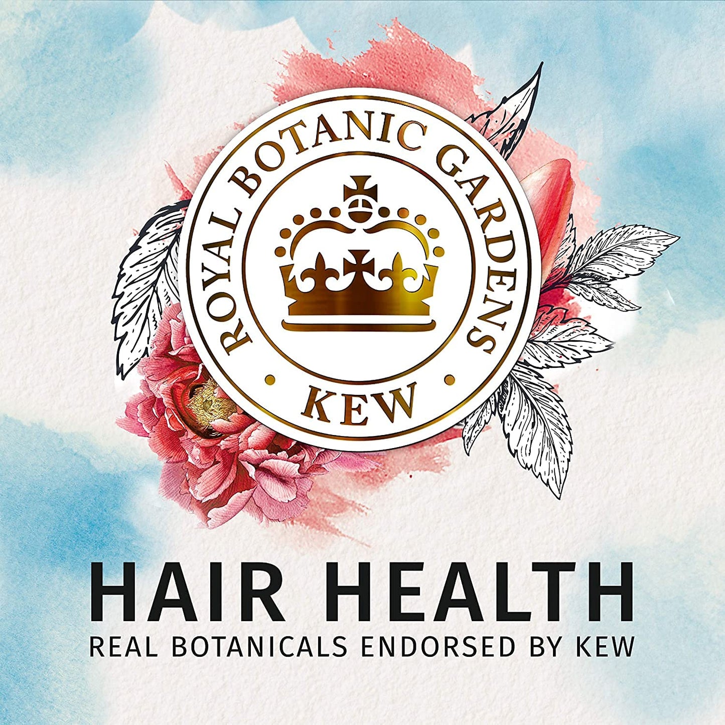 Herbal Essences Shampoo and Conditioner Set Repairing Argan Oil of Morocco with Natural Source Ingredients, Color Safe, Biorenew, 20.2 Fl Oz, 2 Count Health & Beauty > Personal Care > Hair Care Herbal Essences   