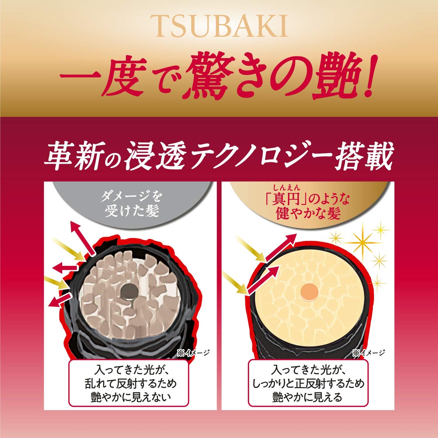 Tsubaki Premium Hair Care Kit- Moist 490Ml Shampoo +490 Ml Conditioner Health & Beauty > Personal Care > Hair Care Shiseido   