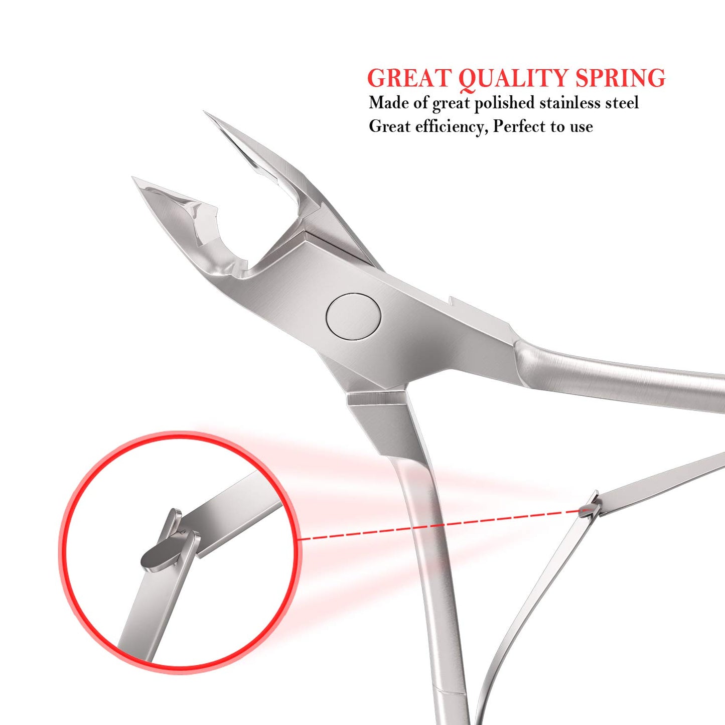Professional Cuticle Nippers Stainless Steel Cuticle Cutters and Remover -Best Nipper Scissors, Nail Care Tool for Manicure and Pedicure Health & Beauty > Personal Care > Cosmetics > Cosmetic Tools > Nail Tools Jestilo   