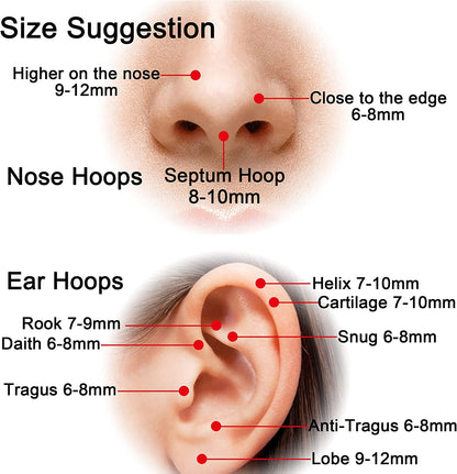 Ldurian Surgical Steel Nose Ring Hypoallergenic Nose Piercing Jewelry 20G 18G 16G 14G Diameter 5Mm to 16Mm Hinged Nose Rings Hoops for Women Gold Silver Rose Gold Black Color Apparel & Accessories > Jewelry > Rings KYLIE MAX   