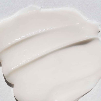 Pureology Hydrate Moisturizing Conditioner | for Medium to Thick Dry, Color Treated Hair | Sulfate-Free | Vegan Health & Beauty > Personal Care > Hair Care Pureology   