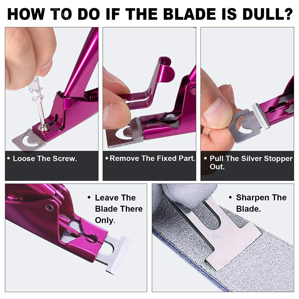 Elegant Violet Red Premium Adjustable Stainless Steel Artificial Acrylic Fake False Nail Tip Clipper Cutter Trimmer Manicure Pedicure Sharp Blade Clip Tool for Salon Home Nail Art Beauty Design DIY Health & Beauty > Personal Care > Cosmetics > Cosmetic Tools > Nail Tools GADGETS ENTREPOT   