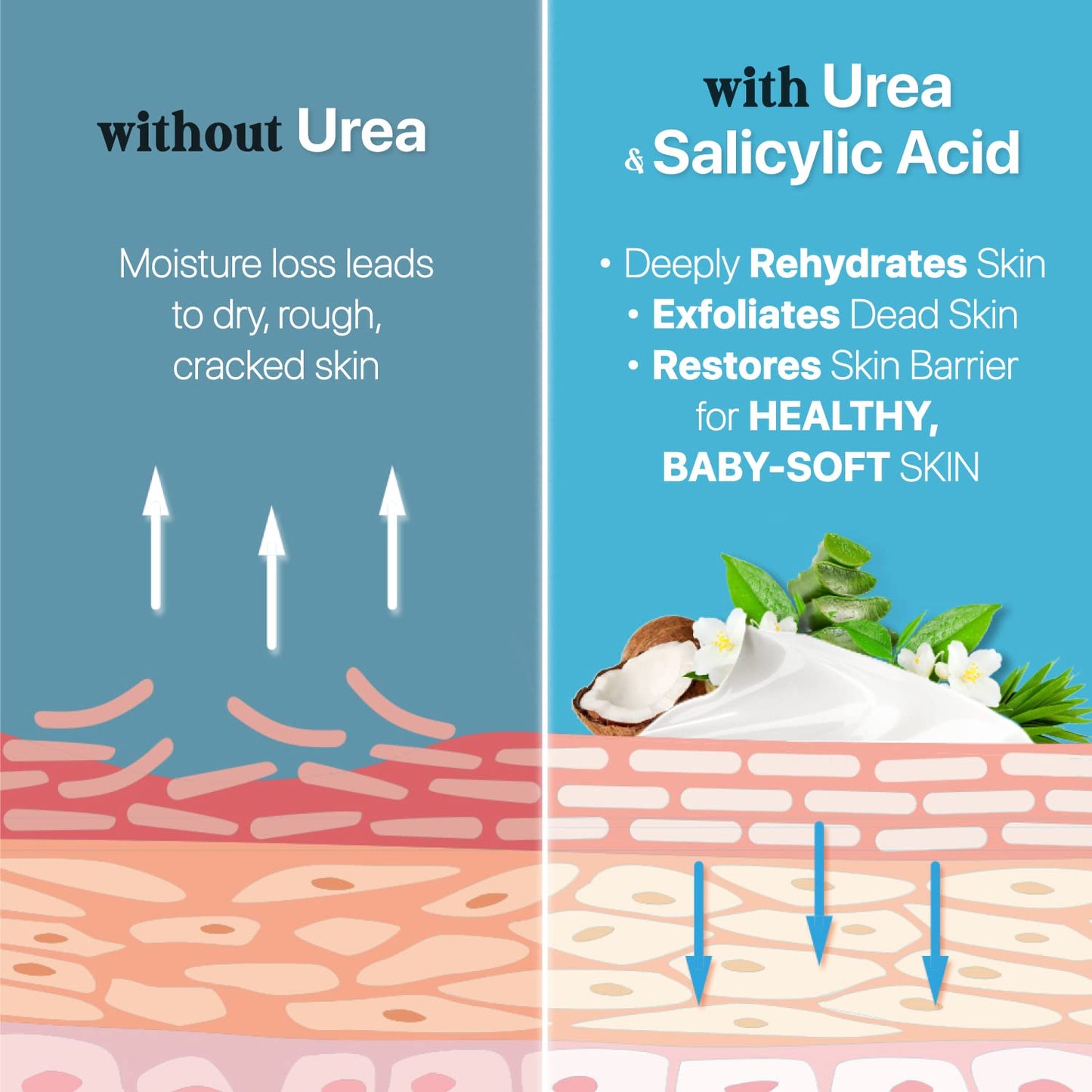 Urea Cream 40% plus Salicylic Acid 4.6 Oz, Callus Remover Hand Cream Foot Cream for Dry Cracked Feet, Hands, Heels, Elbows, Nails, Knees, Intensive Moisturizes & Softens Skin, Exfoliates Dead Skin Health & Beauty > Personal Care > Foot Care Ebanel Laboratories, Inc.   