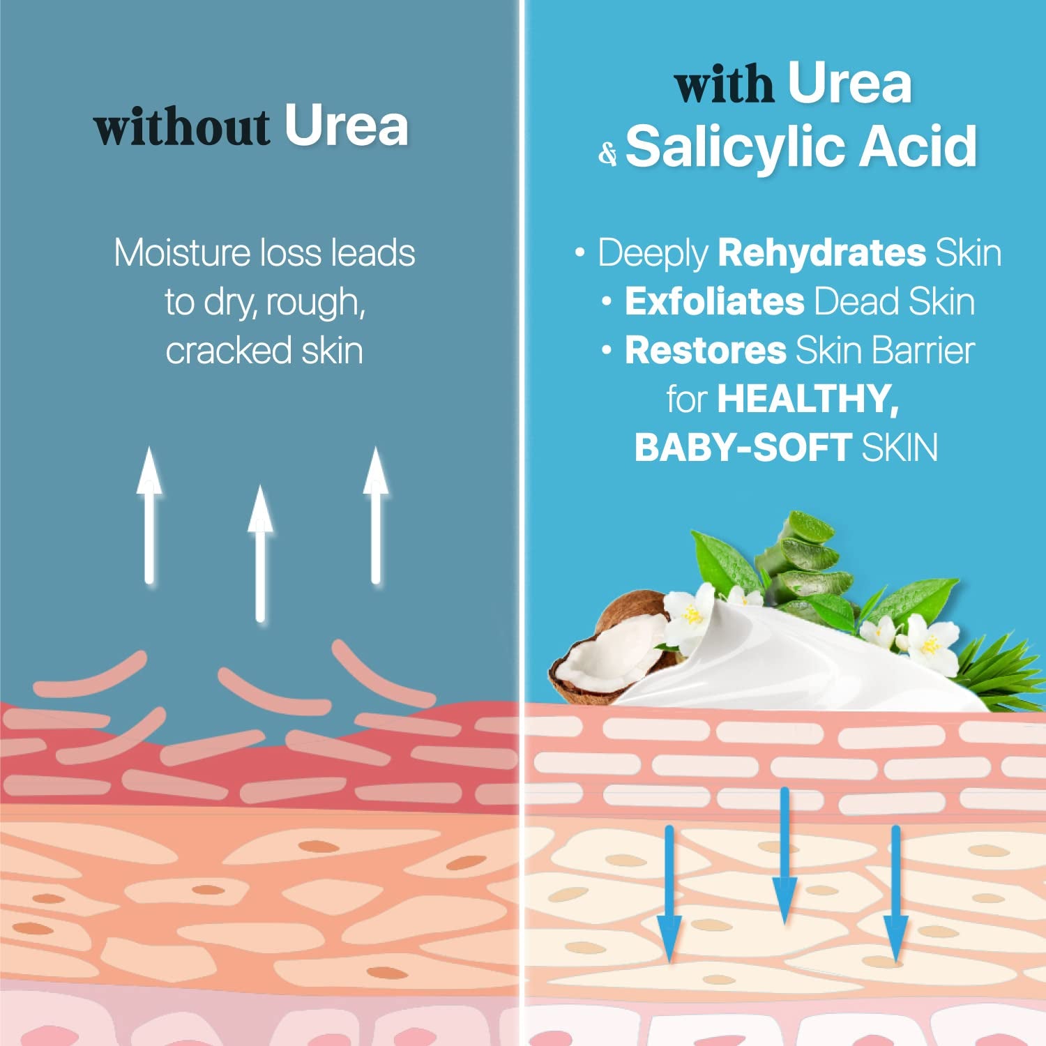 Urea Cream 40% plus Salicylic Acid 4.6 Oz, Callus Remover Hand Cream Foot Cream for Dry Cracked Feet, Hands, Heels, Elbows, Nails, Knees, Intensive Moisturizes & Softens Skin, Exfoliates Dead Skin Health & Beauty > Personal Care > Foot Care Ebanel Laboratories, Inc.   