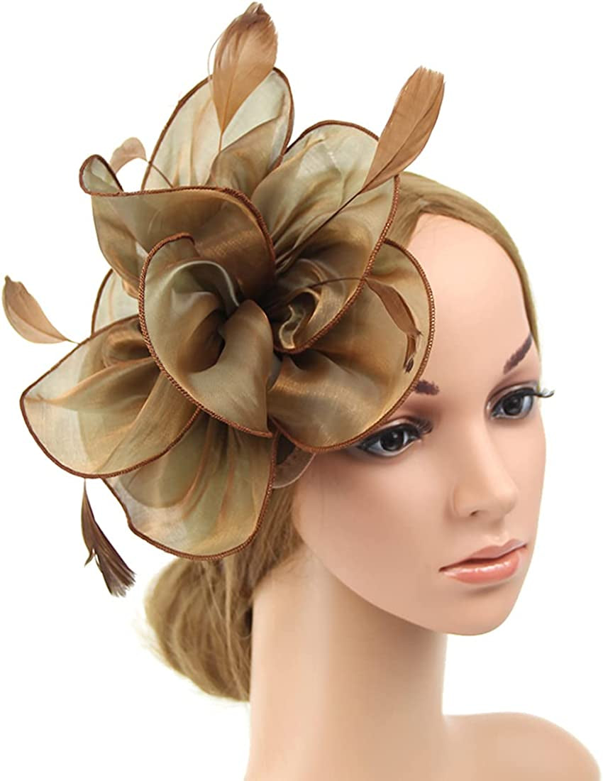 Women Flower Fascinator Hat Wedding Bridal Fascinators Tea Party Hat Feather Fascinator Headband Headwear for Evening Church Apparel & Accessories > Clothing Accessories > Headwear STbest Coffee  