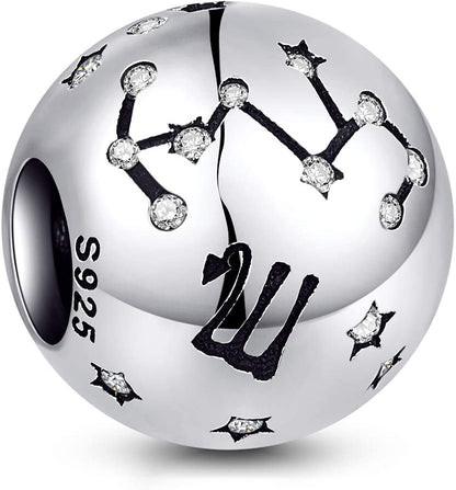 NINGAN 12 Zodiac Sign Birthday Charms - 925 Sterling Silver Charms Fits Women'S Charm Bracelet & Necklace - Birthday Gifts for Girls & Friends Apparel & Accessories > Jewelry > Bracelets NINGAN Scorpio (10/24 - 11/21)  