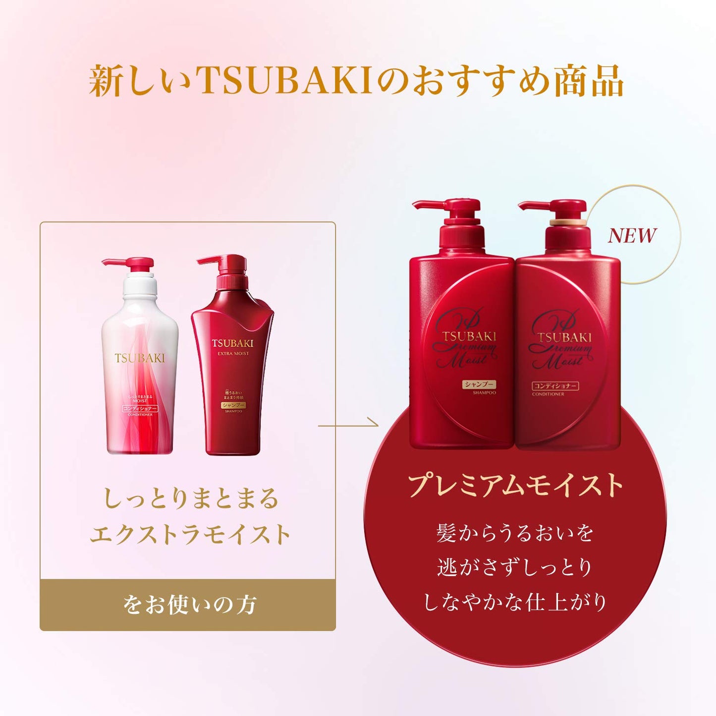 Tsubaki Premium Hair Care Kit- Moist 490Ml Shampoo +490 Ml Conditioner Health & Beauty > Personal Care > Hair Care Shiseido   