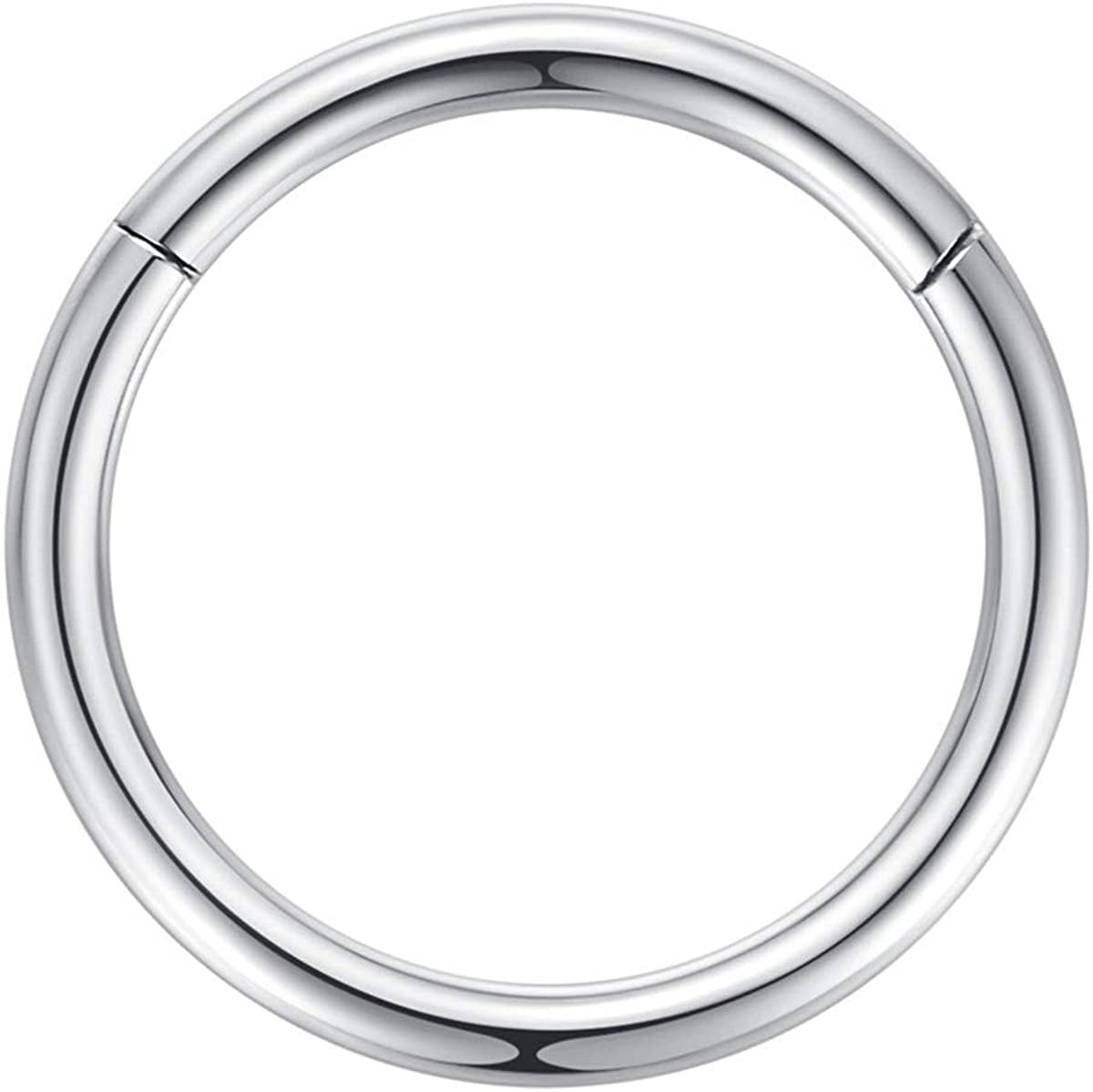 ORANGELOVE Hypoallergenic Nose Rings 20G 18G 16G 14G 12G 10G 8G 316L Surgical Steel Septum Jewelry Hinged Segment Ring Body Piercing Nose Hoop Lip Rings Nose Helix Cartilage Rook Earrings Apparel & Accessories > Jewelry > Rings ORANGELOVE 1pc 10g 14mm Silver  