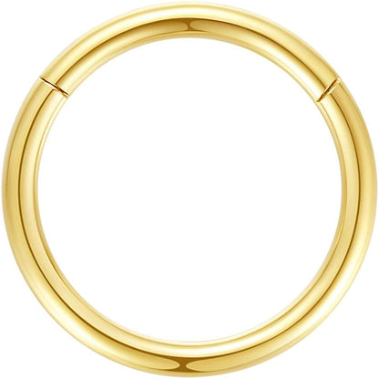 ORANGELOVE Hypoallergenic Nose Rings 20G 18G 16G 14G 12G 10G 8G 316L Surgical Steel Septum Jewelry Hinged Segment Ring Body Piercing Nose Hoop Lip Rings Nose Helix Cartilage Rook Earrings Apparel & Accessories > Jewelry > Rings ORANGELOVE 1pc 12g 12mm Gold  