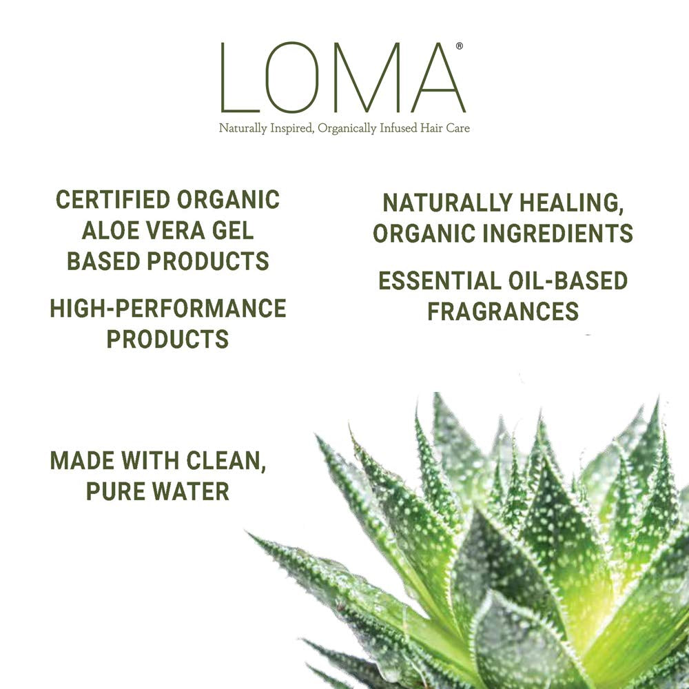 Loma Hair Care Nourishing Oil Treatment, 3.4 Fl Oz Health & Beauty > Personal Care > Hair Care Innovative Salon Products, Inc.   